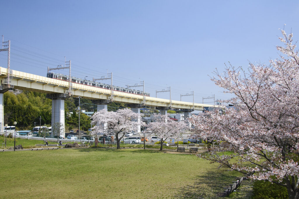 電車と桜